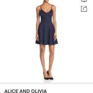 Alice and Oliver fit and flare dress.